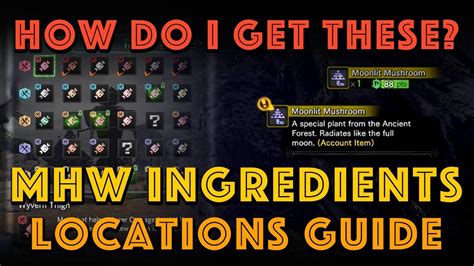 mhw canteen ingredients guide.